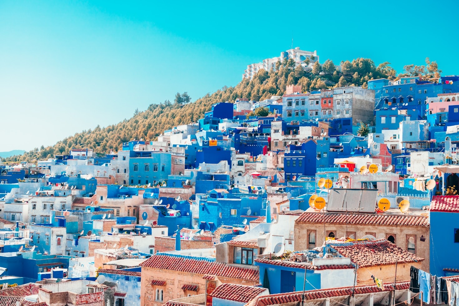 Morocco’s Festivals: A Celebration of Life and Tradition