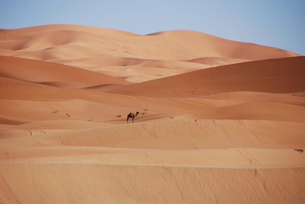 Saharan Wheels: Quad Biking Moroccos Hidden Oases