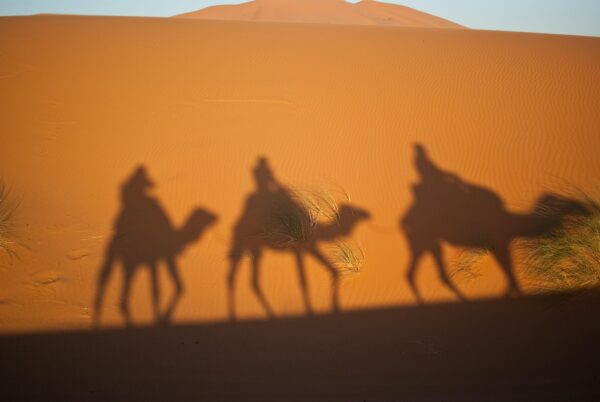 Beyond Dunes: Unveiling The Deserts Hidden Stories