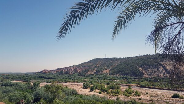 Moroccos Point Breaks: Unveiling North Africas Surf Secrets